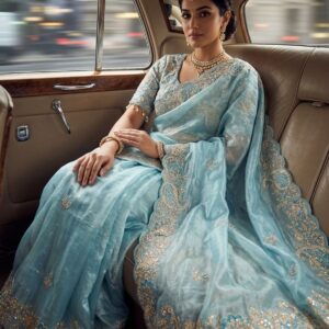 Sarees Collection